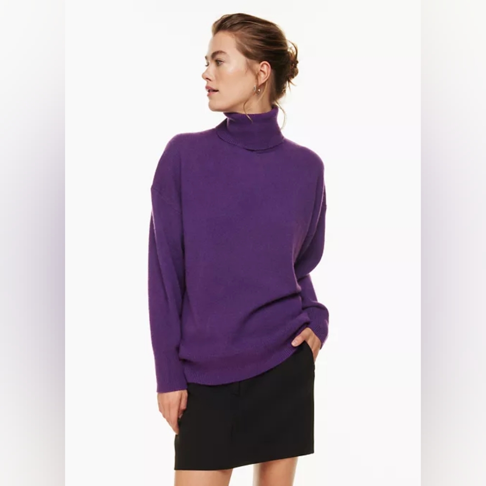 Aritzia Babaton Rosemont Cashmere  Sweater XS
